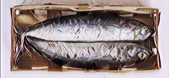 Manfaat Ikan Cue yang Biasa Dijual di Keranjang, Ternyata Bagus Banget untuk Tubuh!