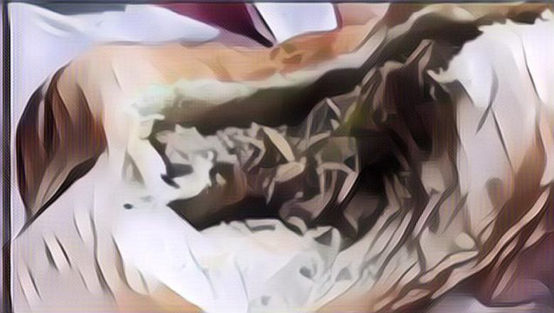 Hiii Ngeri! 6 Benda Menjijikan Ini Pernah Ditemukan Dalam Makanan, Nomor 5 Paling Ekstrem Bikin Pengin Muntah