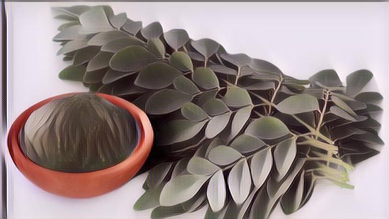 Banyak yang Tidak Tahu, Daun Kelor Ternyata Bisa Bikin Wajah Lebih Cantik Lho!