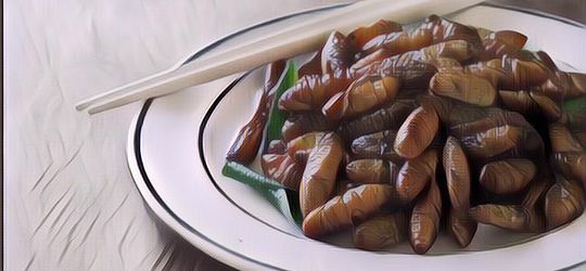 5 Negara yang Penduduknya Suka Makan Serangga, Termasuk Indonesia!