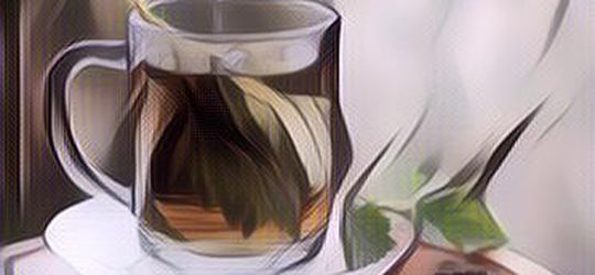 Efek Samping Minum Rebusan Daun Seledri, Mantap Jiwa!