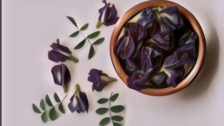 Selain Menyehatkan, Bunga Telang Ternyata Juga Bermanfaat untuk Kecantikan Lho