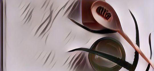 Cara Mudah Menghilangkan Bau Apek dan Bau Matahari Yang Menempel Pada Rambut