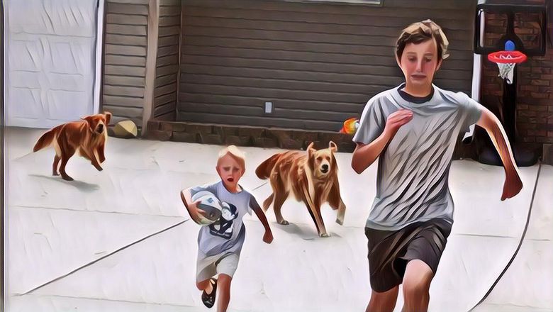 Hal-hal yang Mesti Kamu Lakukan Biar Gak Dikejar atau Diserang Anjing, Tips Penting Nih!