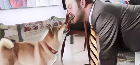 Gajinya Selangit! Segini Penghasilan yang Diterima Pencicip Makanan Anjing, Tertarik Nggak?