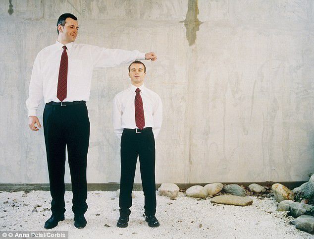 Yoga, renang dan basket