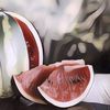Unik Banget, Ini 3 Skincare Berbahan Semangka yang Bikin Kulit Makin Segar