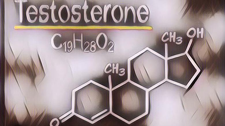 Ciri-Ciri Pria dengan Hormon Testosteron Tinggi, Kalian Salah Satunya?