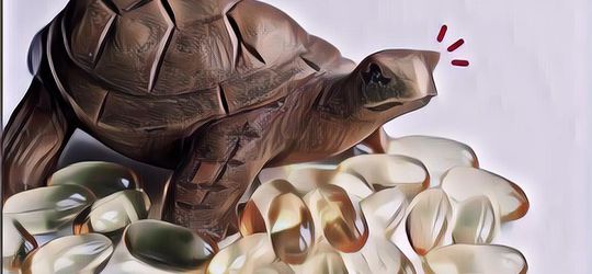 7 Khasiat Minyak Bulus yang Belum Banyak Orang Tahu