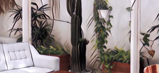 5 Kafe Hits Di Bandung Yang Asyik Buat Nongkrong Sama Teman-Teman