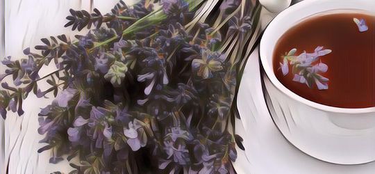 Ini Lho Beberapa Jenis Bunga yang Bisa Dimakan, Sehat Pula Buat Tubuh