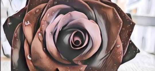 Efek Corona, Viral Petani Buang Bunga dan Jadikan Pakan Kambing