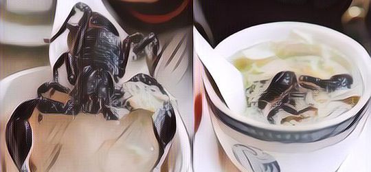 5 Makanan Ekstrem Ini Pakai Topping Kalajengking Utuh di Berbagai Negara, dari Pizza Sampai Es Krim