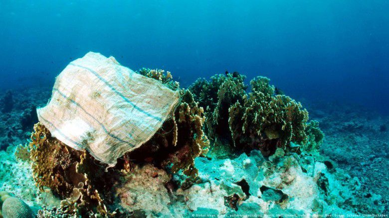 Kasus Pencemaran Akibat Penggunaan Sunscreen