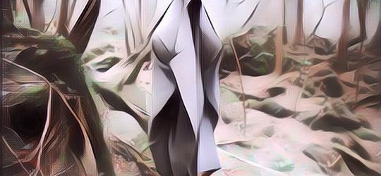 Hutan Aokigahara, Tempat Favorit Di Jepang untuk Bunuh Diri