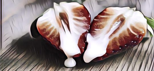 Miss V Sering Becek Apakah Normal? Kenali Penyebabnya di Sini!