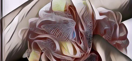 Shower Puff Masi Bagus, Emang Perlu Diganti Yang Baru?