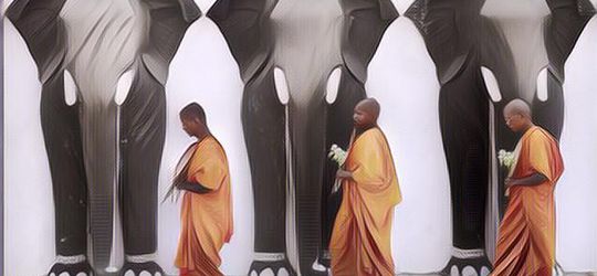 TRAGIS! Biksu Ini Tewas Mengenaskan Diinjak Gajah Saat Meditasi di Hutan