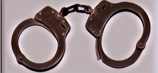 Kasihan Banget, Hewan-hewan Ini Pernah Ditangkap Polisi karena Terjerat Tindakan Kriminal