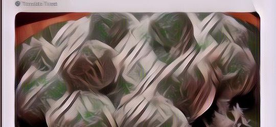 7 Akun Instagram Kocak Banget Yang Mesti Difollow Biar Bisa Ketawa Ngakak