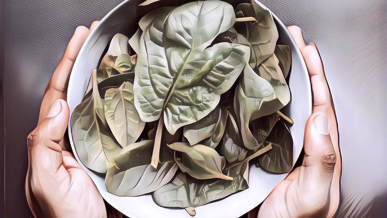 Mengapa Sayuran Berdaun Hijau Bagus Banget Jika Dikonsumsi Tiap Hari? Ini Faktanya