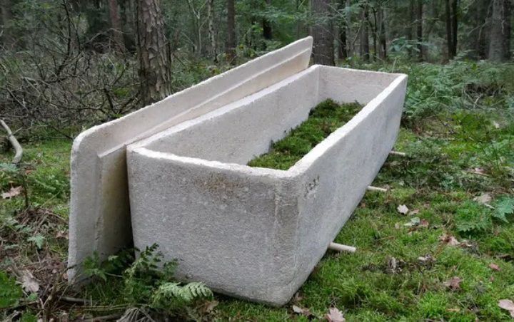 Penguburan konvensional dianggap mencemari lingkungan