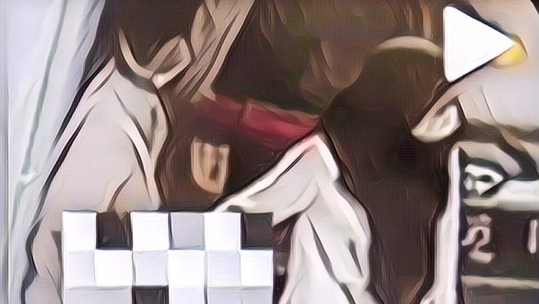 Terpengaruh Film Porno Jadi Penyebab Pasangan Kekasih Nekat Berbuat Mesum di Pinggir Jalan