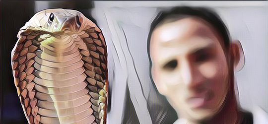 Berhasil Selamat! Kondisi Bocah Tunarungu Yang Terjebak 4 Hari Di Sumur Bareng Kalajengking Dan Ular Berbisa Mengkhawatirkan