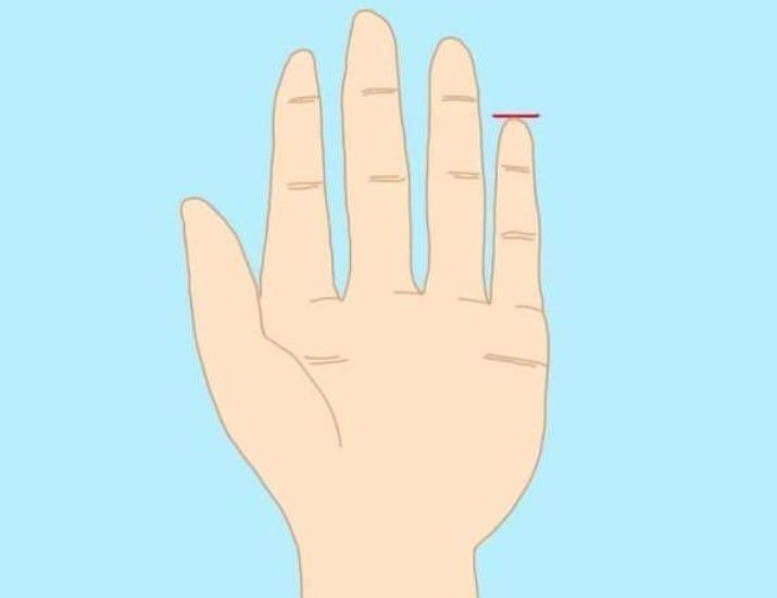 1. Jari kelingking pendek
