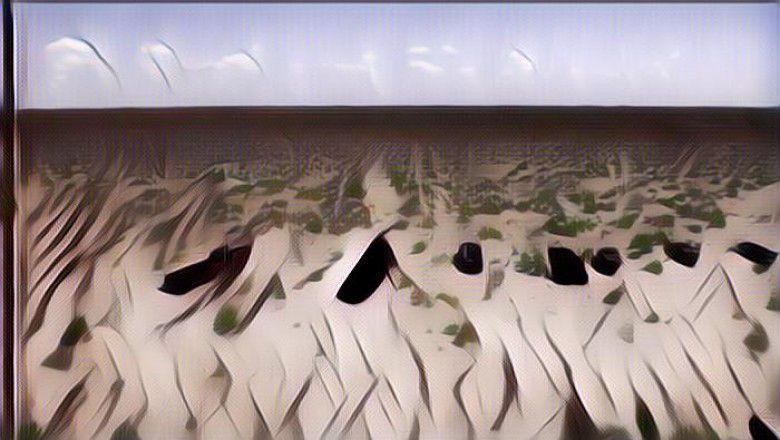 Aneh Tapi Nyata, Air di Danau Ini Mendadak Mengering, Ini yang Sebenarnya Terjadi