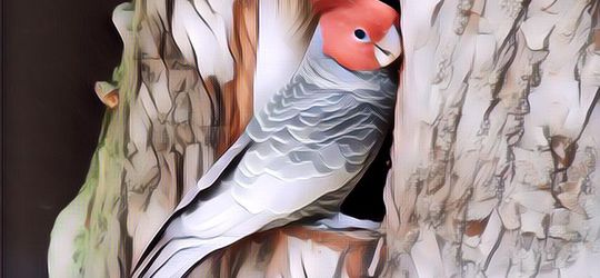 Hewan-Hewan Ini Diberi Nama Sesuai Suara yang Mereka Keluarkan, Unik Juga