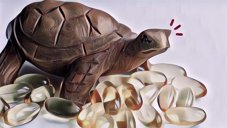 7 Khasiat Minyak Bulus yang Belum Banyak Orang Tahu