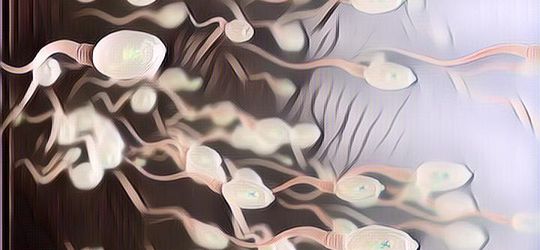 Mitos atau Fakta: Sperma Bagus untuk Kulit Wajah?