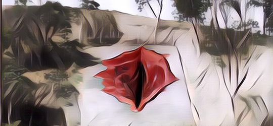 Kontroversial! Patung Berbentuk Vagina Raksasa Dibuat di Museum Terbuka di Brasil