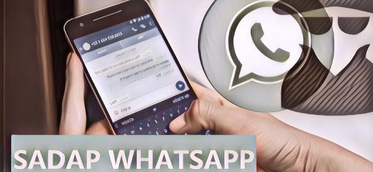 3 Aplikasi Bikin Tahu Cara Sadap WhatsApp dengan Android secara Mudah, Penasaran?