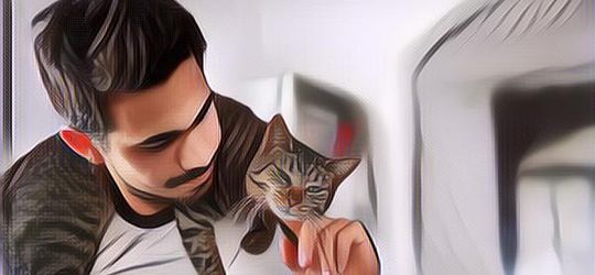 7 Tanda Jika Kucing Peliharaanmu Sayang Padamu, Coba Dicek!