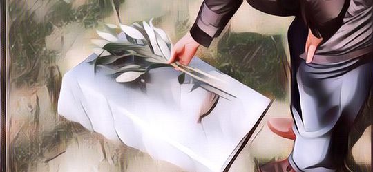 Viral Kuburan Transparan Yang Isinya Bikin Merinding!