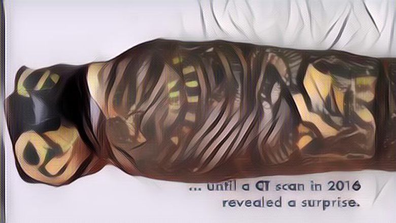 Deretan Mumi Ini Punya Sejarah Aneh yang Unik