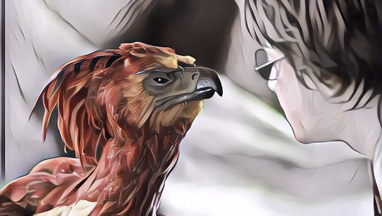 Burung Phoenix, Hewan Legendaris yang Dipercaya Bisa Hidup Ratusan Tahun dan Jadi Simbol Kehidupan Abadi