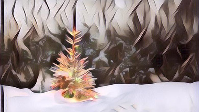 Legenda Pohon Cemara Natal, Bersejarah Banget!