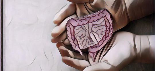 Baik Dikonsumsi Tiap Hari, 7 Manfaat Probiotik yang Ternyata Bagus Banget untuk Tubuh