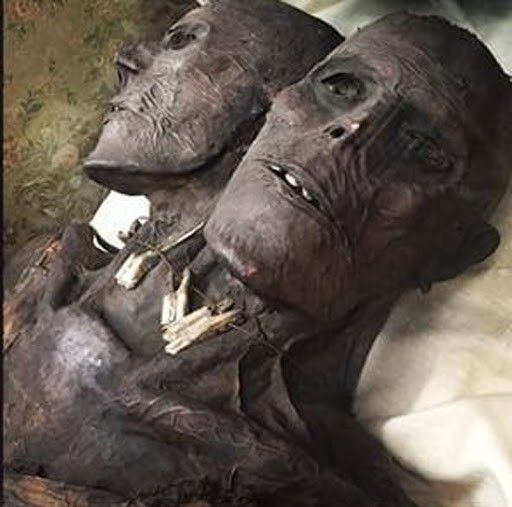 Penemuan mumi berkepala dua