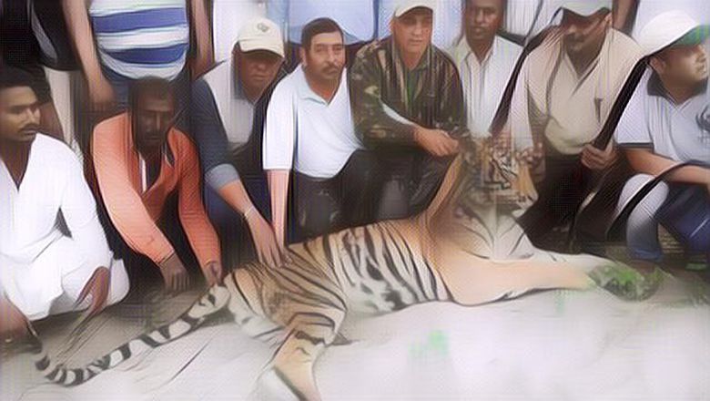 3 Negara yang Penduduknya Hidup Berdampingan dengan Hewan Buas, Kamu Sanggup Nggak?