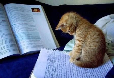 #3 Pengin tau apa rutinitas kamu