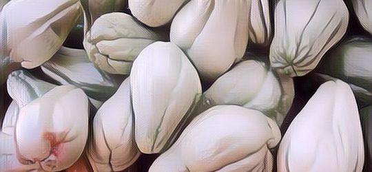 Cocok Untuk Turunkan Berat Badan, Ini Manfaat Kesehatan dari Mengkonsumsi Labu Siam