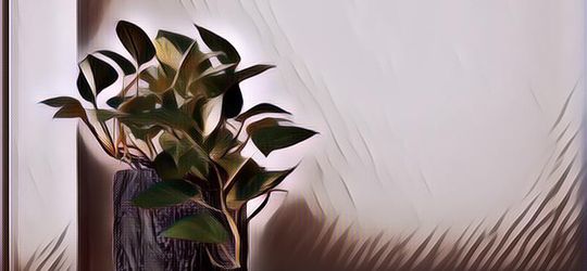 Bawa Energi Negatif! Ini Daftar Tanaman Pembawa Sial Menurut Feng Shui