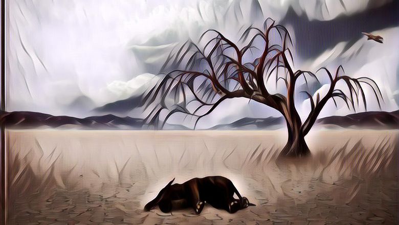 Penyebab Pemanasan Global Paling Utama, Beberapa Fakta yang Jarang Diketahui