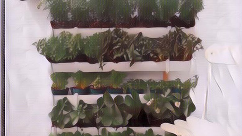 Deretan Hal Ini Harus Diketahui Jika Ingin Berkebun di Teras Rumah