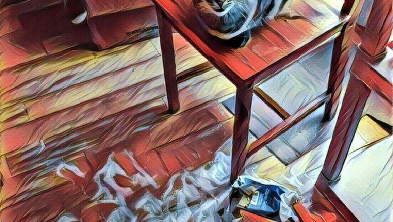 Kelakuan Usil Hewan Peliharaan, Bener Masih Mau Pelihara?