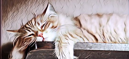 7 Hal yang Biasa Dilakukan Saat Gabut Biar Nggak Baper